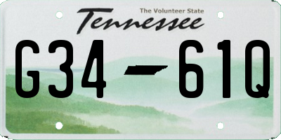 TN license plate G3461Q