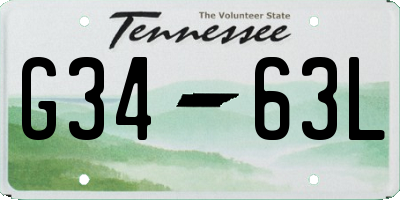 TN license plate G3463L
