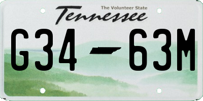 TN license plate G3463M