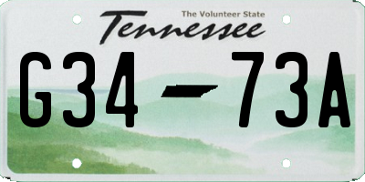 TN license plate G3473A
