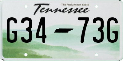 TN license plate G3473G