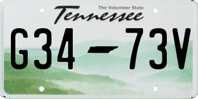 TN license plate G3473V