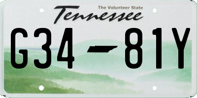 TN license plate G3481Y