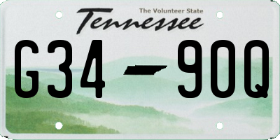 TN license plate G3490Q