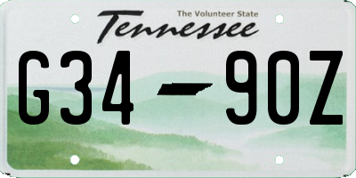 TN license plate G3490Z