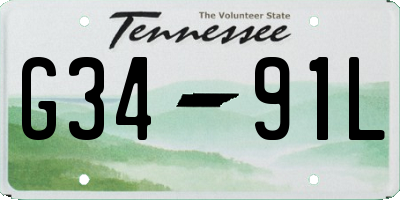 TN license plate G3491L