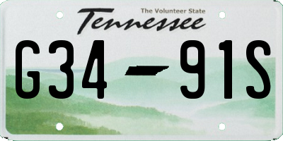 TN license plate G3491S