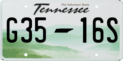 TN license plate G3516S