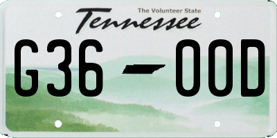 TN license plate G3600D