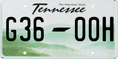 TN license plate G3600H