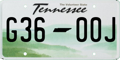 TN license plate G3600J