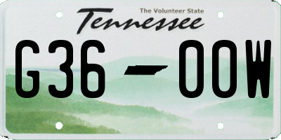 TN license plate G3600W