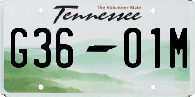 TN license plate G3601M