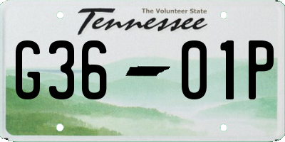 TN license plate G3601P