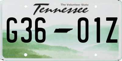TN license plate G3601Z