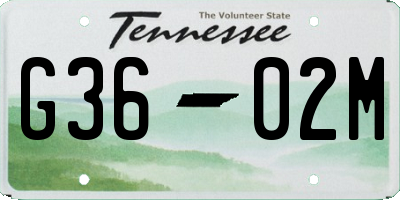 TN license plate G3602M