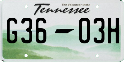 TN license plate G3603H