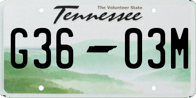 TN license plate G3603M
