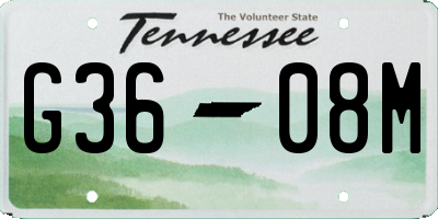 TN license plate G3608M