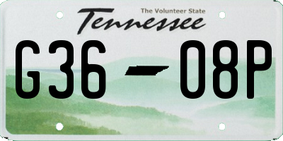 TN license plate G3608P