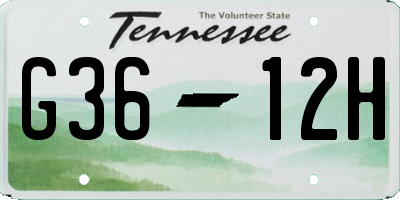 TN license plate G3612H