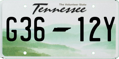 TN license plate G3612Y