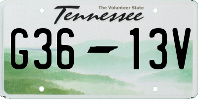 TN license plate G3613V