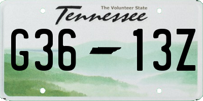 TN license plate G3613Z