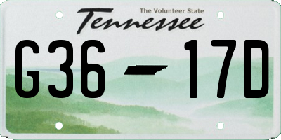 TN license plate G3617D