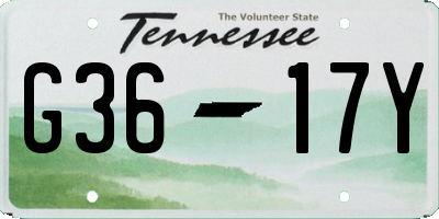 TN license plate G3617Y
