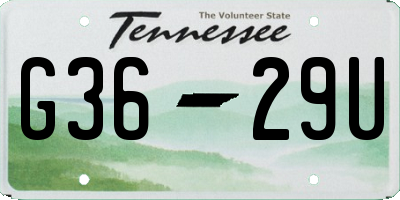 TN license plate G3629U