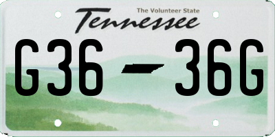 TN license plate G3636G