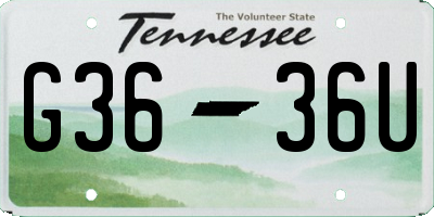 TN license plate G3636U