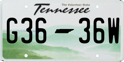 TN license plate G3636W