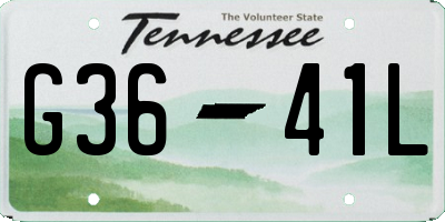 TN license plate G3641L