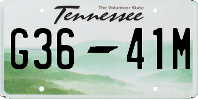 TN license plate G3641M