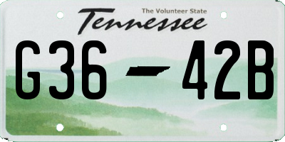 TN license plate G3642B