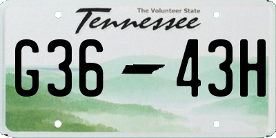 TN license plate G3643H