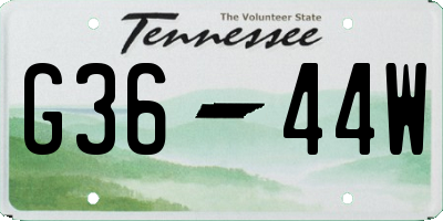 TN license plate G3644W