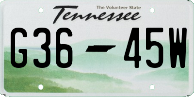 TN license plate G3645W