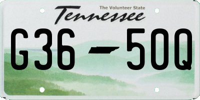 TN license plate G3650Q