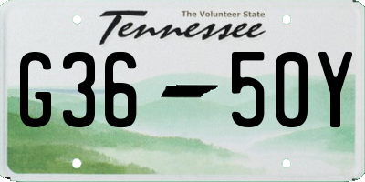 TN license plate G3650Y