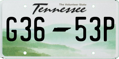 TN license plate G3653P