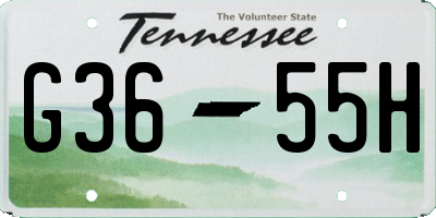 TN license plate G3655H