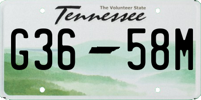 TN license plate G3658M