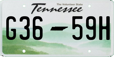 TN license plate G3659H