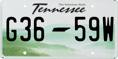TN license plate G3659W