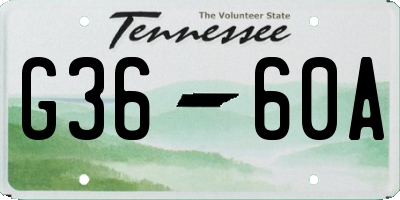 TN license plate G3660A