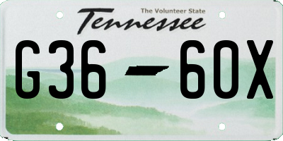 TN license plate G3660X