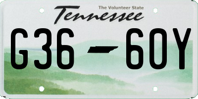 TN license plate G3660Y
